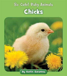 Cover image for Chicks