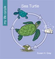 Sea turtle cover image