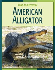 American Alligator cover image