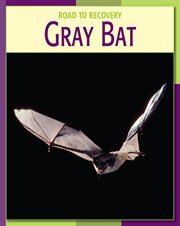 Gray Bat cover image