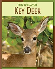 Key Deer cover image