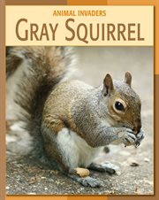 Gray squirrel cover image