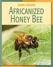 Africanized honey bee cover image