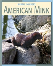 American mink cover image