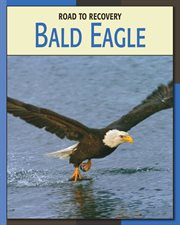 Bald eagle cover image