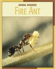 Fire Ant cover image