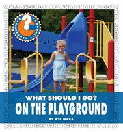 What should I do? on the playground cover image