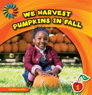 We harvest pumpkins in the fall cover image