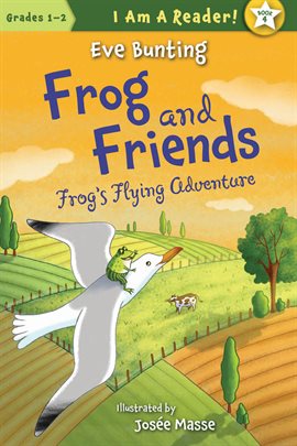 Cover image for Frog's Flying Adventure