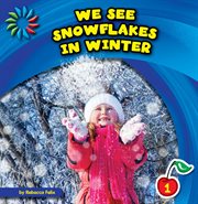 We see snowflakes in winter cover image