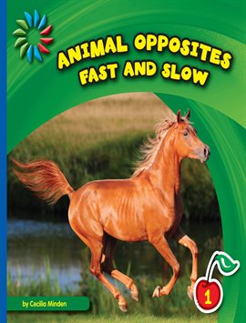 Cover image for Fast and Slow