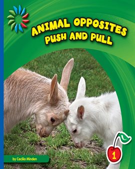 Cover image for Push and Pull