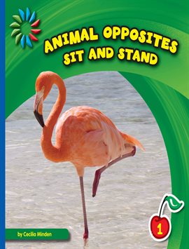 Cover image for Sit and Stand