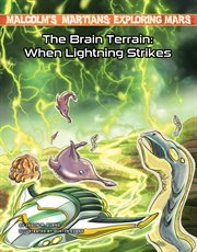 The brain terrain : when lightning strikes cover image