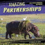 Amazing partnerships cover image