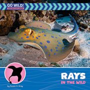 Rays in the Wild cover image