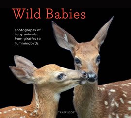Cover image for Wild Babies