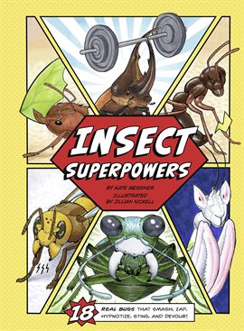 Cover image for Insect Superpowers