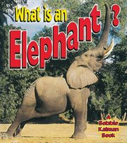 What is an Elephant? cover image