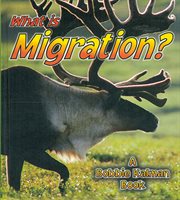 What is Migration? cover image