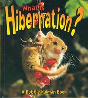 What is Hibernation? cover image