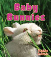 Baby Bunnies cover image