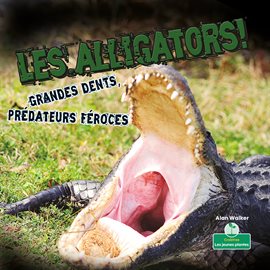 Cover image for Les alligators! Grandes dents, prédateurs féroces