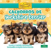 Cachorros de yorkshire terrier cover image