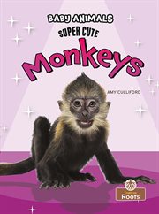Super cute monkeys cover image