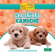 Les chiots caniche (Poodle Puppies) cover image