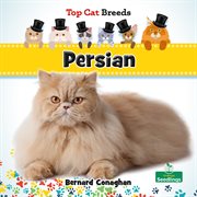 Persian cover image