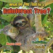 What do you find in a rainforest tree? cover image