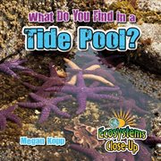 What do you find in a tide pool? cover image
