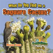 What do you find on a saguaro cactus? cover image
