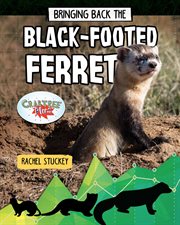 Bringing back the black-footed ferret cover image