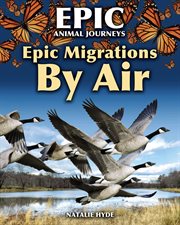 Epic migrations by air cover image