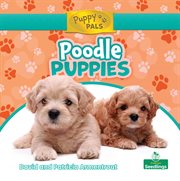 Poodle puppies cover image