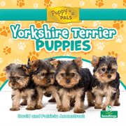 Yorkshire terrier puppies cover image