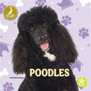 Poodles cover image