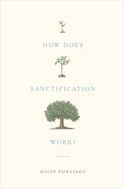 How Does Sanctification Work? cover image