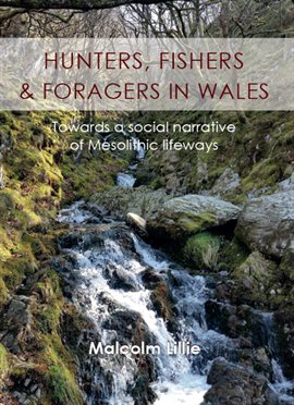 Cover image for Hunters, Fishers and Foragers in Wales