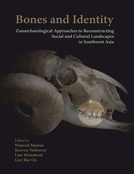 Cover image for Bones and Identity