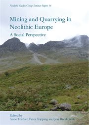 Mining and quarrying in neolithic Europe : a social perpsective cover image