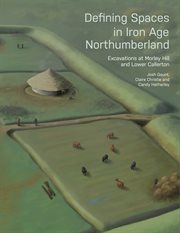 DEFINING SPACES IN IRON AGE NORTHUMBERLAND : excavations at morley hill and lower cover image