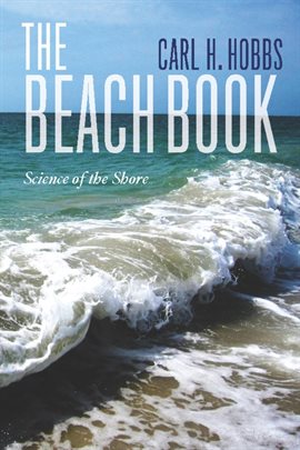 Image de couverture de The Beach Book