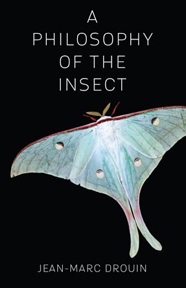 Cover image for A Philosophy of the Insect