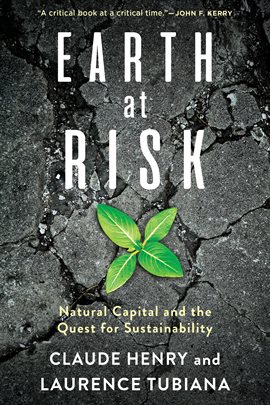 Cover image for Earth at Risk