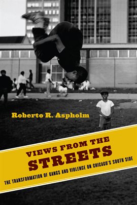 Cover image for Views from the Streets