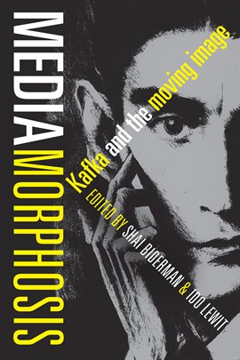 Cover image for Mediamorphosis