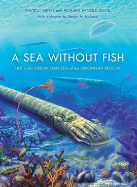 Cover image for A Sea without Fish
